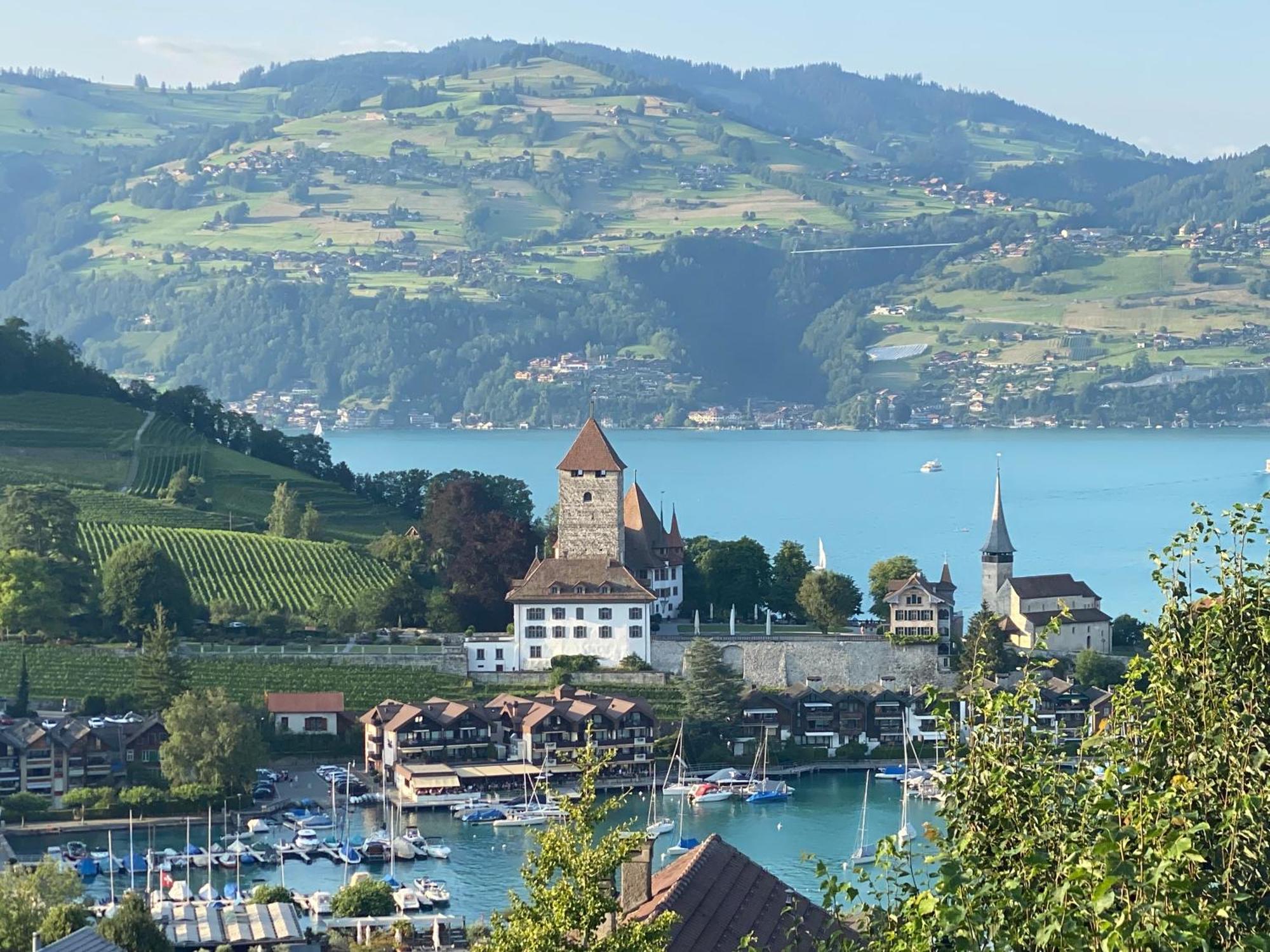 Herrlicher Blick Auf Berge Und See Faulensee Exteriör bild