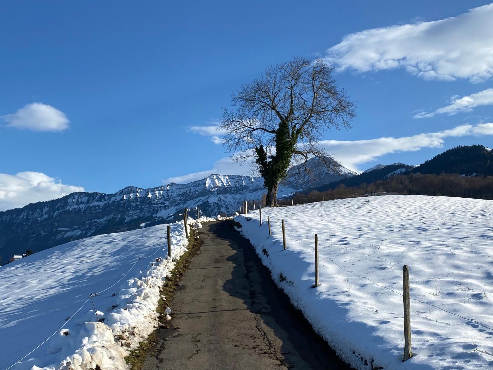 Herrlicher Blick Auf Berge Und See Faulensee Exteriör bild