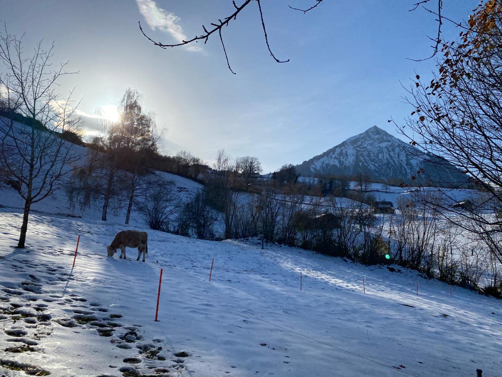 Herrlicher Blick Auf Berge Und See Faulensee Exteriör bild